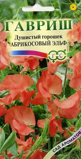 Душистый горошек Абрикосовый Эльф (гавриш) 0,5гр  – купить в г. Омск