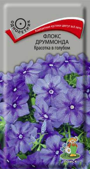 Флокс друммонда Красотка в голубом (поиск) 0,1 гр  – купить в г. Омск
