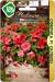 Петуния Сферика Салмон F1 (биотехника) 10шт  – купить в г. Омск