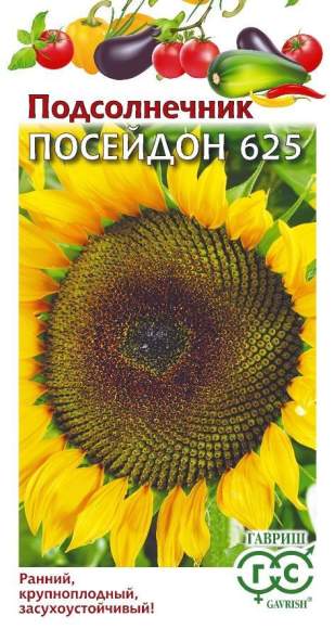 Подсолнечник Посейдон 625 (гавриш) 10,0 гр Подсолнечник Посейдон 625 (гавриш) 10,0 гр