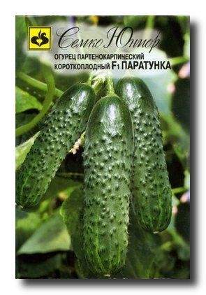 Огурец Паратунка F1 (семко) 5 шт – купить в г. Омск Огурец Паратунка F1 (семко) 5 шт – купить в г. Омск