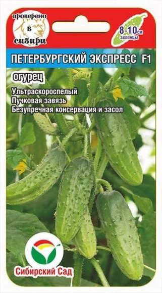 Огурец Петербургский экспресс F1 (сибирский сад) 7 шт – купить в г. Омск Огурец Петербургский экспресс F1 (сибирский сад) 7 шт – купить в г. Омск