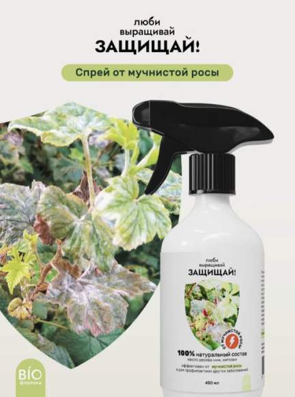 Спрей от мучнистой росы ZEMA 450мл – купить в г. Омск Спрей от мучнистой росы ZEMA 450мл – купить в г. Омск