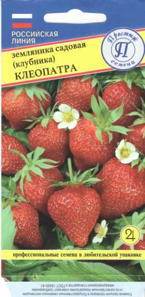 Земляника (клубника) Клеопатра (престиж) 0,01 гр  – купить в г. Омск