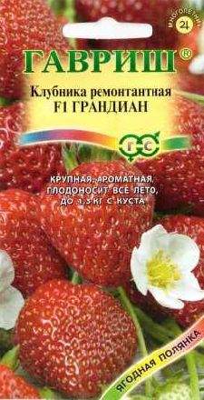 Клубника Грандиан F1 (гавриш) 5 шт  – купить в г. Омск