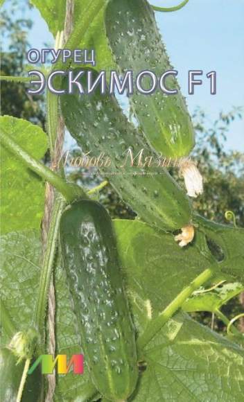 Огурец Эскимос F1 (мязина) 15шт  – купить в г. Омск