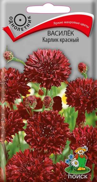 Василек Карлик красный (поиск) 0,1 гр  – купить в г. Омск