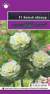 Капуста декоративная Белый абажур F1 (гавриш) 4 шт  – купить в г. Омск