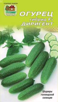 Огурец Диригент F1 (наш сад) 5 шт