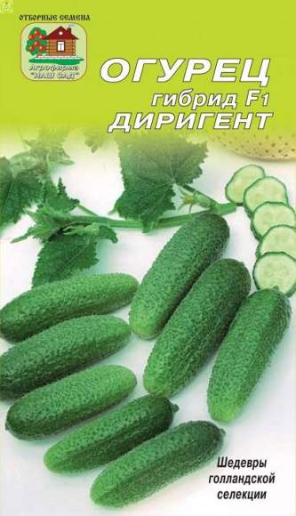 Огурец Диригент F1 (наш сад) 5 шт  – купить в г. Омск