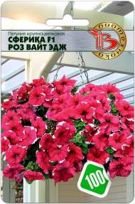 Петуния Сферика Роз вайт эдж F1 (биотехника) 10шт