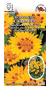 Кореопсис Санфайер (зса) 5шт  – купить в г. Омск