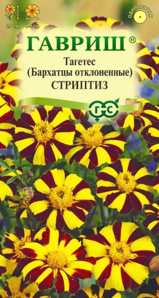Бархатцы Стриптиз (гавриш) 0,3 гр  – купить в г. Омск