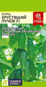 Огурец Хрустящий пучок F1 (семена Алтая) 5 шт