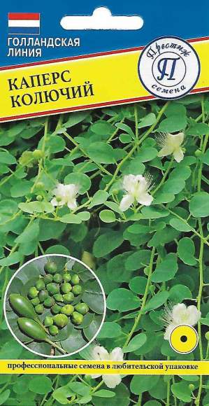 Каперс Колючий (престиж) 3 шт  – купить в г. Омск