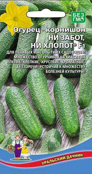 Огурец Ни забот, ни хлопот F1 (уральский дачник) 10 шт  – купить в г. Омск