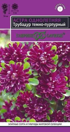 Астра Трубадур темно-пурпурный (гавриш) 0,05 гр – купить в г. Омск Астра Трубадур темно-пурпурный (гавриш) 0,05 гр – купить в г. Омск