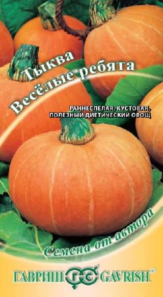 Тыква Веселые ребята (гавриш) 1,0гр  – купить в г. Омск