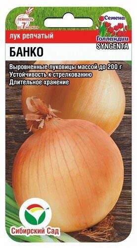 Лук репчатый Банко F1 (сибирский сад) 200 шт – купить в г. Омск Лук репчатый Банко F1 (сибирский сад) 200 шт – купить в г. Омск