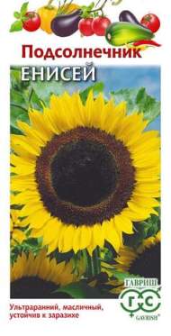 Подсолнечник Енисей (гавриш) 10,0 гр Подсолнечник Енисей (гавриш) 10,0 гр