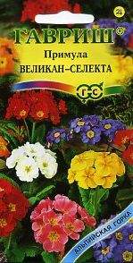 Примула Селекта Великан (гавриш) 10 шт  – купить в г. Омск