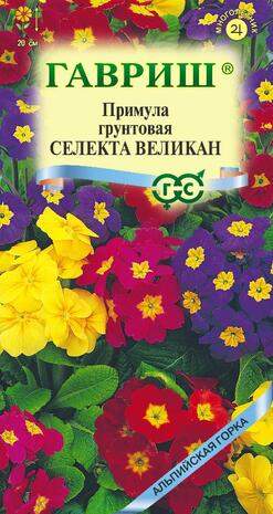 Примула Селекта Великан (гавриш) 10 шт  – купить в г. Омск