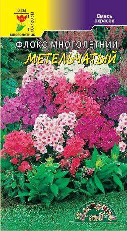 Флокс Метельчатый многолетний (цветущий сад) 5 шт – купить в г. Омск Флокс Метельчатый многолетний (цветущий сад) 5 шт – купить в г. Омск