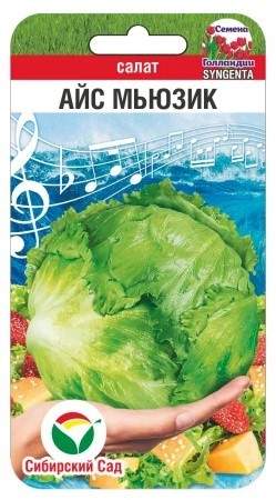 Салат кочанный Айс мьюзик (сибирский сад) 15 шт  – купить в г. Омск