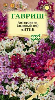 Антирринум (львиный зев) Антик смесь (гавриш) 7 шт