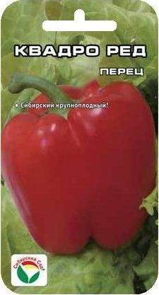 Перец сладкий Квадро ред (сибирский сад) 15 шт  – купить в г. Омск