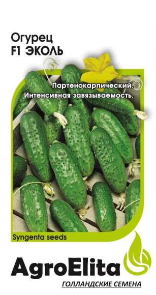 Огурец Эколь F1 (агроэлита) 5шт  – купить в г. Омск
