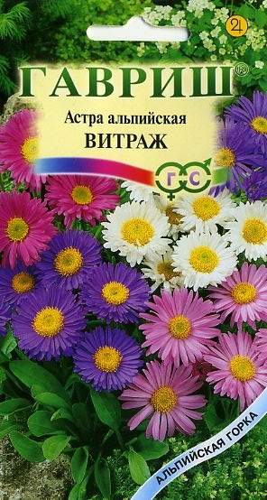 Астра альпийская Витраж (гавриш) 0,05 гр многолетняя  – купить в г. Омск