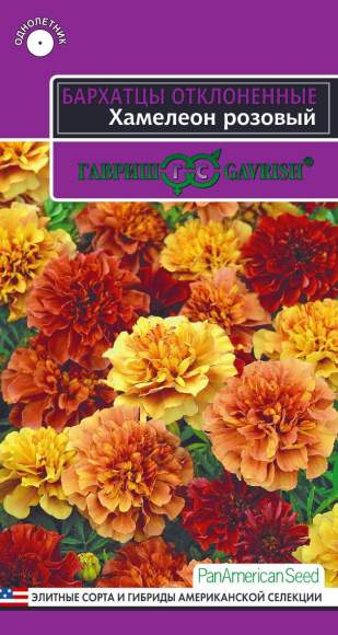 Бархатцы Хамелеон розовый (гавриш) 5 шт  – купить в г. Омск