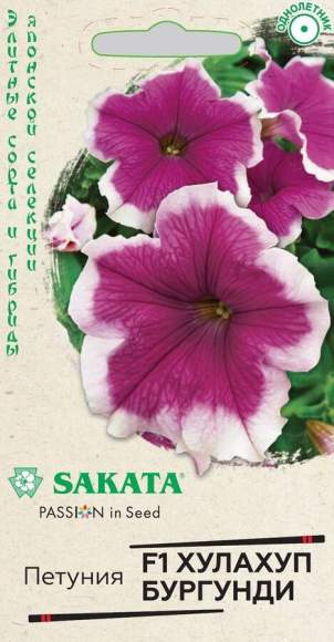 Петуния Хулахуп Бургунди F1 (гавриш) 5шт  – купить в г. Омск