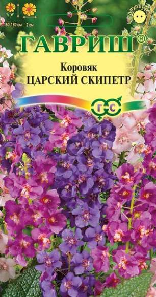 Коровяк Царский скипетр (гавриш) 0,05гр  – купить в г. Омск