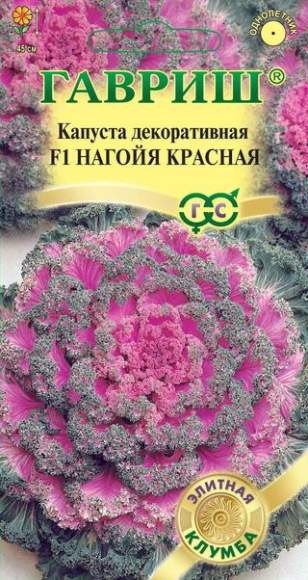Капуста декоративная Нагойя красная F1 (гавриш) 6 шт – купить в г. Омск Капуста декоративная Нагойя красная F1 (гавриш) 6 шт – купить в г. Омск