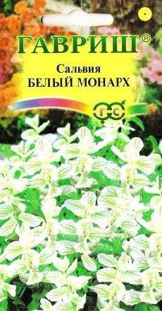 Сальвия Белый монарх (гавриш) 0,05гр  – купить в г. Омск