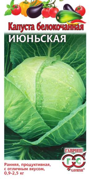 Капуста белокочанная Июньская (гавриш) 0,5 гр  – купить в г. Омск