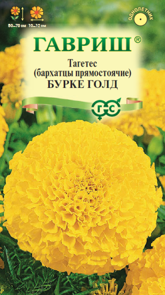 Бархатцы Бурке голд (гавриш) 0,3 гр  – купить в г. Омск