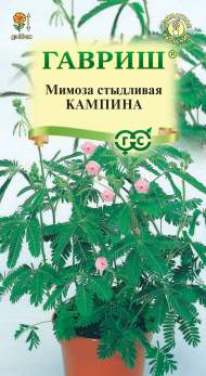 Мимоза стыдливая Кампина (гавриш) 0,1 гр