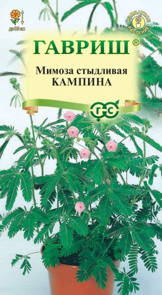 Мимоза стыдливая Кампина (гавриш) 0,1 гр