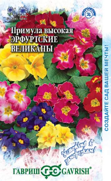 Примула Эрфуртские великаны (гавриш) 20 шт  – купить в г. Омск