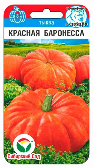 Тыква Красная баронесса (сибирский сад) 5 шт  – купить в г. Омск