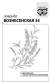 Лаванда Вознесенская (гавриш) белый пакет 0,05 гр  – купить в г. Омск