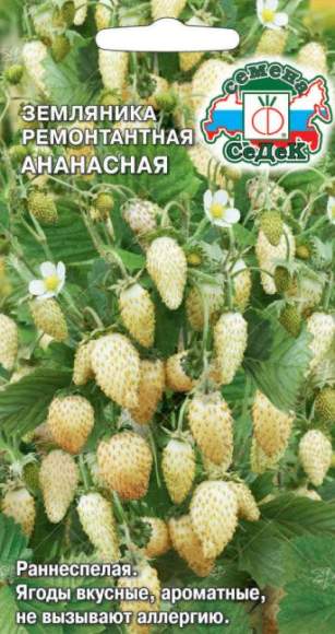 Земляника Ананасная (седек) 0,04 гр  – купить в г. Омск