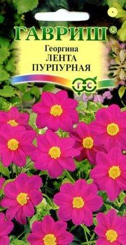Георгина Лента пурпурная (г) 0,2гр  – купить в г. Омск