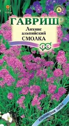 Лихнис альпийский Смолка (гавриш) 0,05 гр  – купить в г. Омск