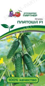 Огурец Платоша F1 (партнер) 5 шт Огурец Платоша F1 (партнер) 5 шт