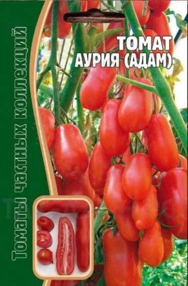 Томат Аурия (Адам) (Григорьев) 10 шт  – купить в г. Омск