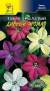 Душистый декоративный табак Дивный аромат (цветущий сад) 0,2 гр  – купить в г. Омск